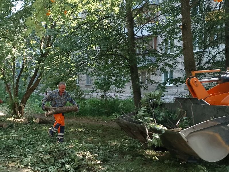 Днем продолжится вывоз стихийных свалок и навалов веток.