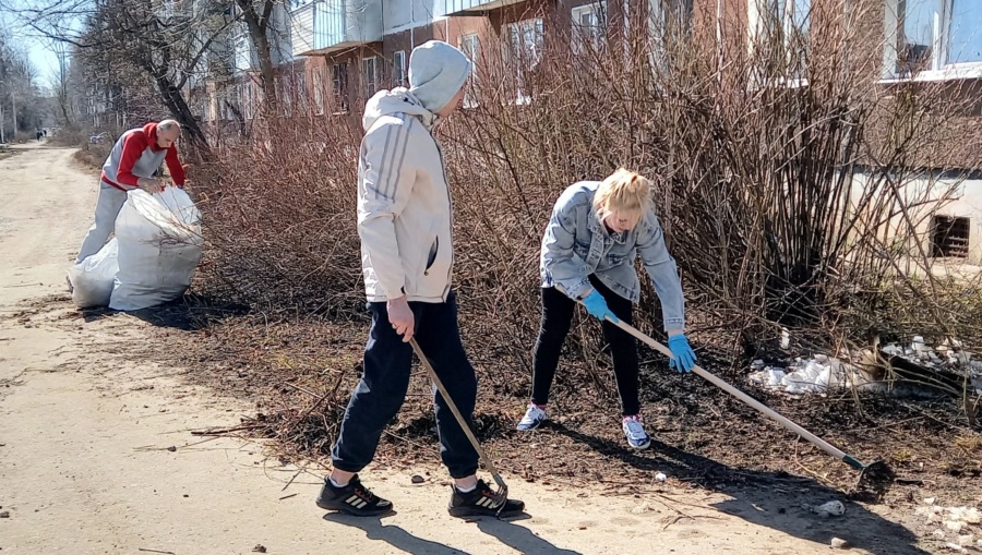 В областном центре объявлен месячник по благоустройству.