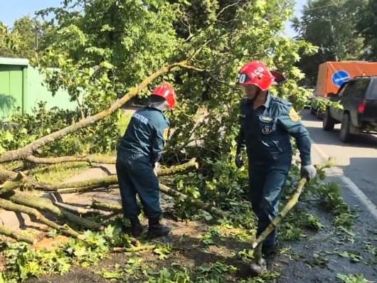 В Иванове продолжается ликвидация последствий шторма.