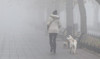 В Ивановской области прогнозируется туман. В Ивановской области прогнозируется туман.