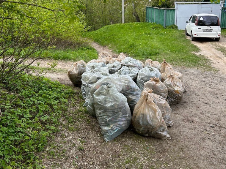 Из Варгинского оврага вывезено 40 мешков мусора. Из Варгинского оврага вывезено 40 мешков мусора.