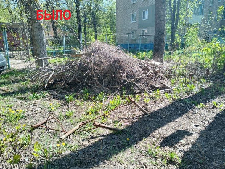 Бюджету города Иванова вывоз стихийных свалок обходится в десятки миллионов рублей. Бюджету города Иванова вывоз стихийных свалок обходится в десятки миллионов рублей.