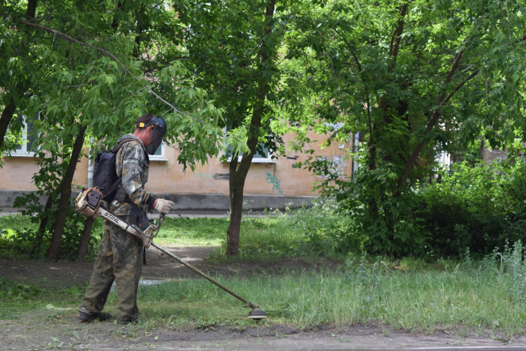 В Иванове увеличено число бригад по выкашиванию газонов. В Иванове увеличено число бригад по выкашиванию газонов.