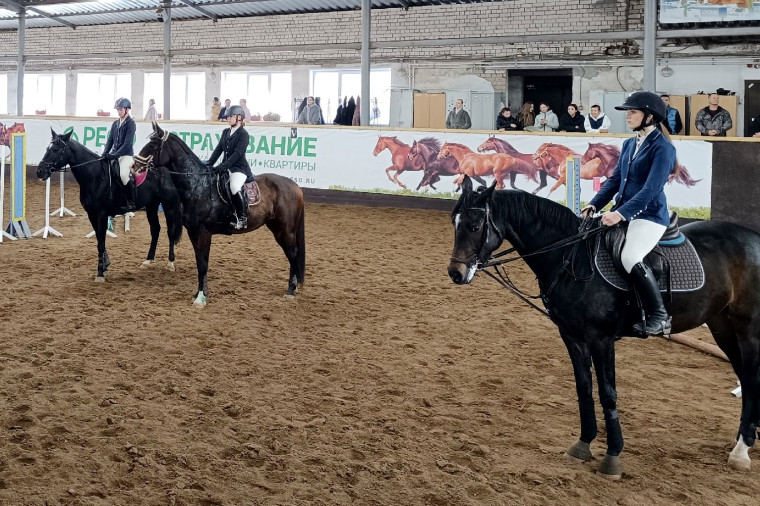 В ивановской спортивной школе №11 пройдут соревнования по конкуру. В ивановской спортивной школе №11 пройдут соревнования по конкуру.
