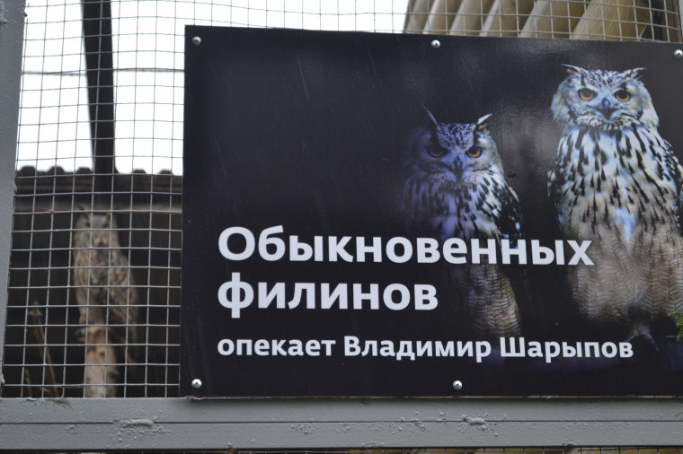 У обитателей Ивановского зоопарка растет количество опекунов. У обитателей Ивановского зоопарка растет количество опекунов.