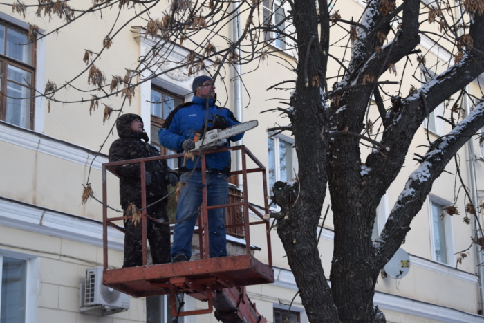 В Иванове приступили к обрезке деревьев. В Иванове приступили к обрезке деревьев.
